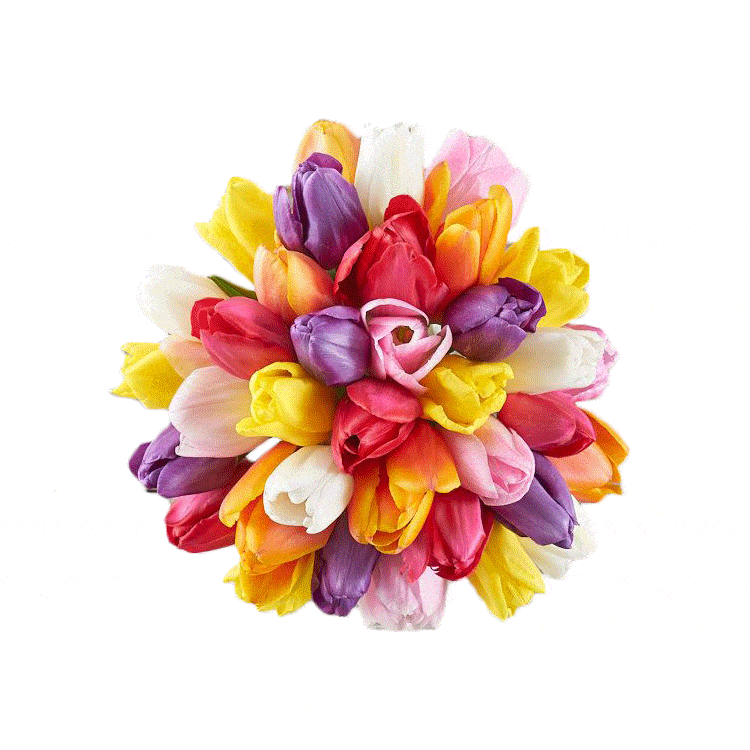 The Bouqs Co. Flower Subscription