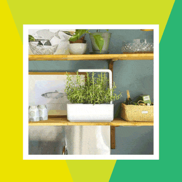 click and grow smart planter click and grow smart planter