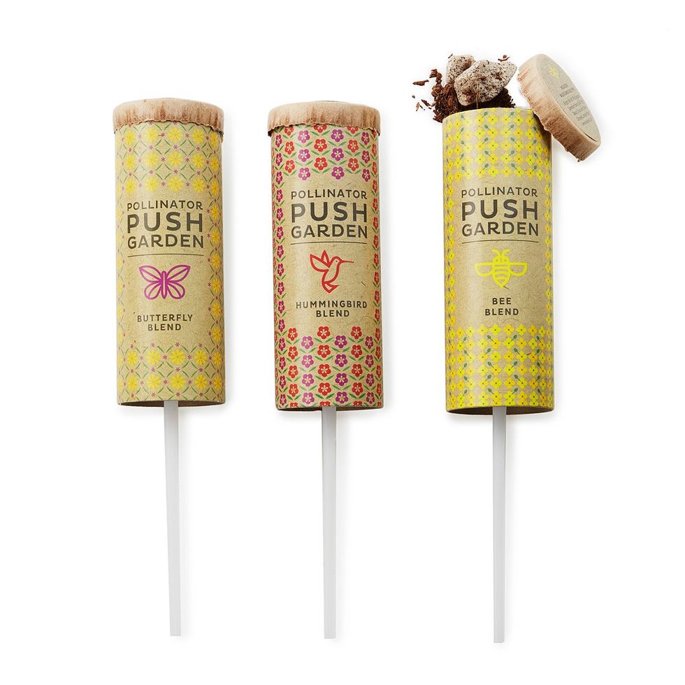 Pollinator Garden Set