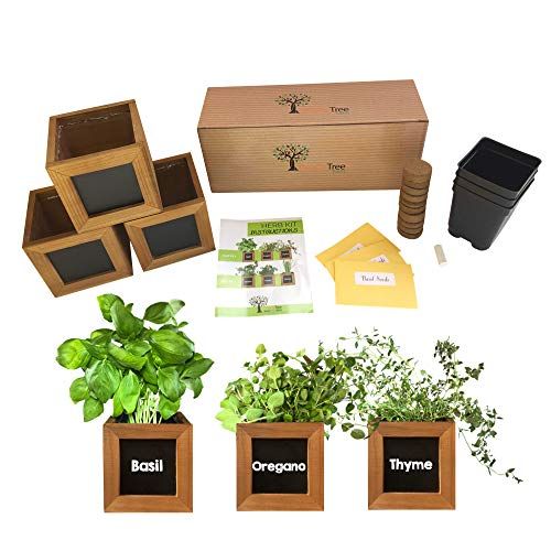 Indoor Herb Garden Kit