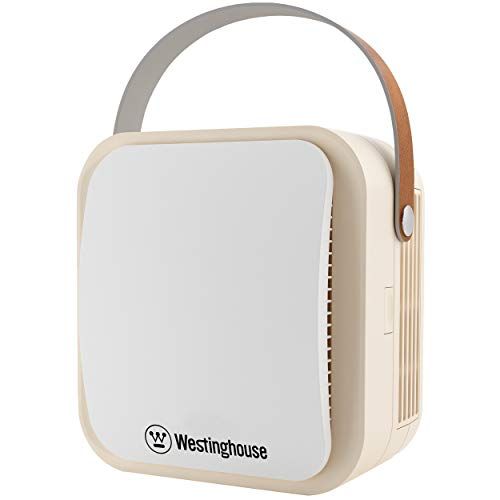 Portable Air Purifier