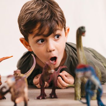 5 year old boy with dinosaur toys 5 year old boy with dinosaur toys