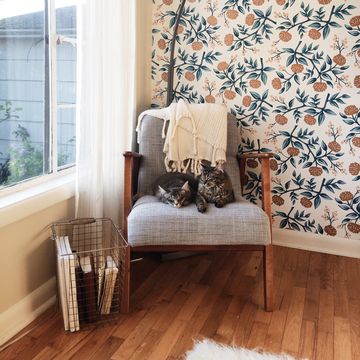 floral print adhesive wallpaper in corner of living room with two cats sitting on chair