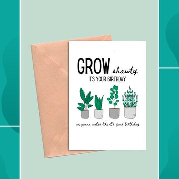 whisky birthday card, plant birthday card, 30th birthday card whisky birthday card, plant birthday card, 30th birthday card