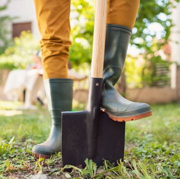 gardener standing on shovel in rubber boots