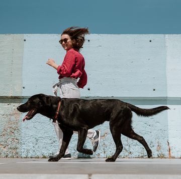 woman running alongside dog woman running alongside dog