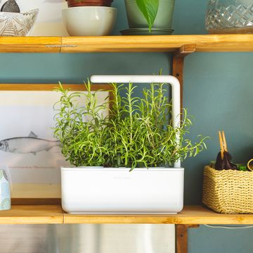 indoor herb gardens