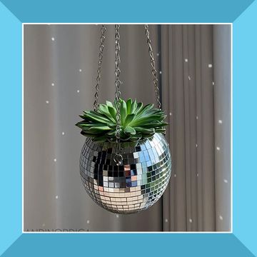 plants get me socks and disco ball hanging planter plants get me socks and disco ball hanging planter
