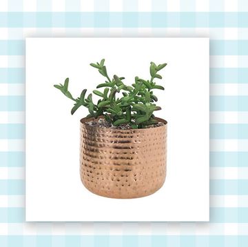 amazon planters amazon planters