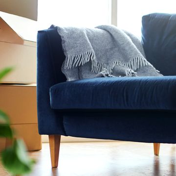 blue velvet sofa in living room with boxes blue velvet sofa in living room with boxes